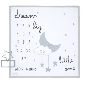 Baby Milestones 3 Piece Luxury Blanket Set